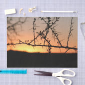 とげのあるアカシアの木のシルエットを持つアフリカの夕日 薄葉紙 (クラフト)