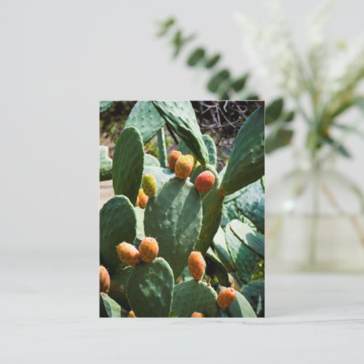 とげのあるナシのサボテンの果実 ポストカード (スタンド正面)