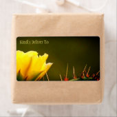 とげのあるナシのサボテン砂漠の花/黄色の緑/ ラベル (インサイチュ)