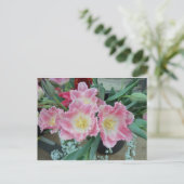 とげのあるピンクの花 ポストカード (スタンド正面)