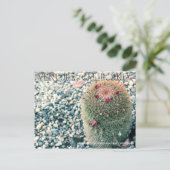 とげのあるベンチュラ ポストカード (スタンド正面)