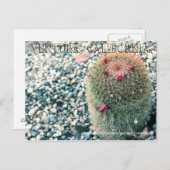 とげのあるベンチュラ ポストカード (正面/裏面)