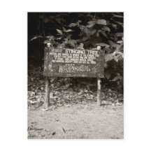 とげのある木の警告看板