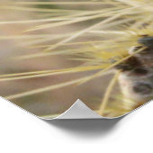 とげのある梨のハート ポスター (角)