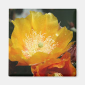 とげのある梨の花 マグネット (正面)