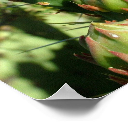 とげのある梨の開花 ポスター (角)