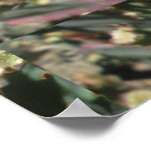 とげのある梨の黒いスペイン ポスター (角)