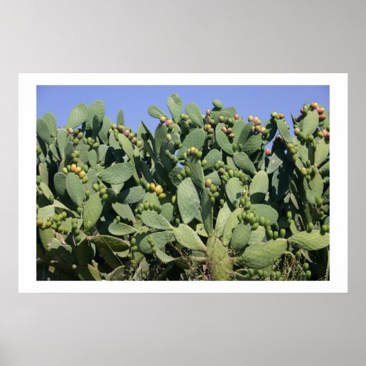 とげのある梨 ポスター (正面)