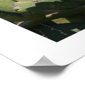 とげのある梨 ポスター (角)