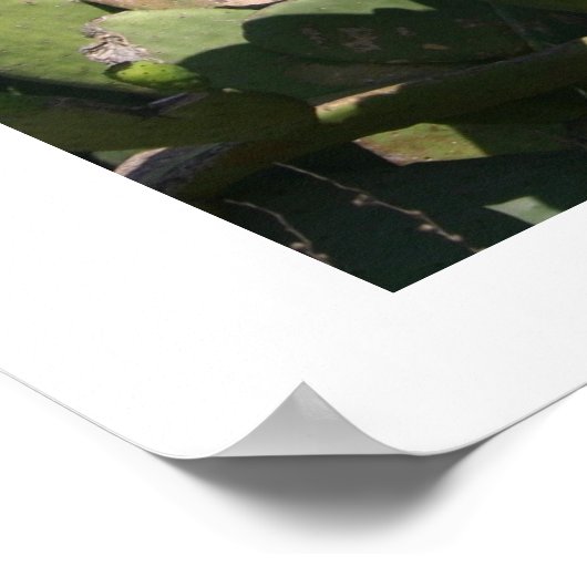 とげのある梨 ポスター (角)