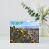 とげのある梨、花、シエラデルカルメン、ビッグベンド ポストカード (スタンド正面)