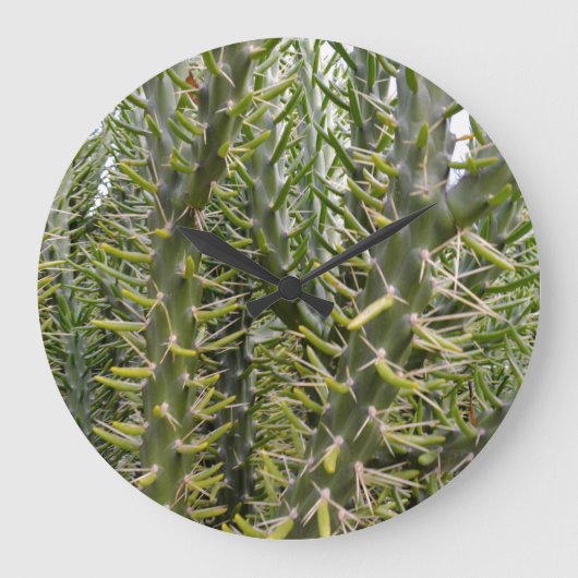 とげのある緑のサボテンの植物 ラージ壁時計 (正面)