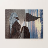 とげの形をしたシースタック|顔ロックウェイサイド、または ジグソーパズル (横)