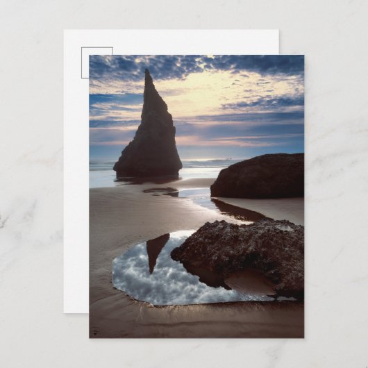 とげの形をしたシースタック |顔ロックウェイサイド、OR ポストカード (正面/裏面)