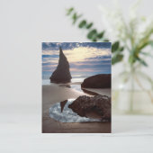 とげの形をしたシースタック |顔ロックウェイサイド、OR ポストカード (スタンド正面)