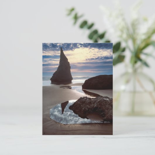 とげの形をしたシースタック |顔ロックウェイサイド、OR ポストカード (スタンド正面)