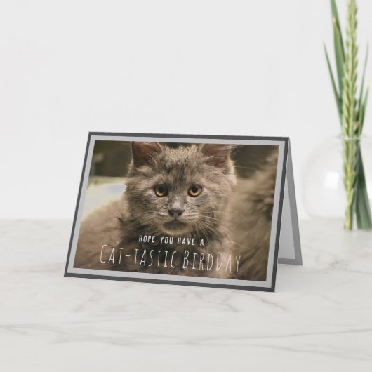 とってもかわいいグレーの子猫　面白い誕生日カード カード (正面)