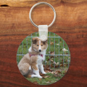 とってもかわいいコリー キーホルダー (正面)