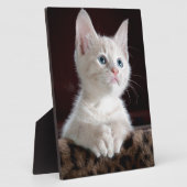 とってもかわいい白い子猫 フォトプラーク (側面)