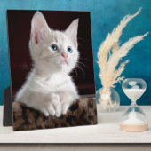 とってもかわいい白い子猫 フォトプラーク (側面)