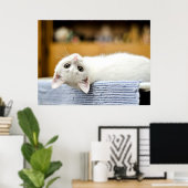 とってもキュートで抱きしめたくなる愛らしい子猫 ポスター (ホームオフィス)