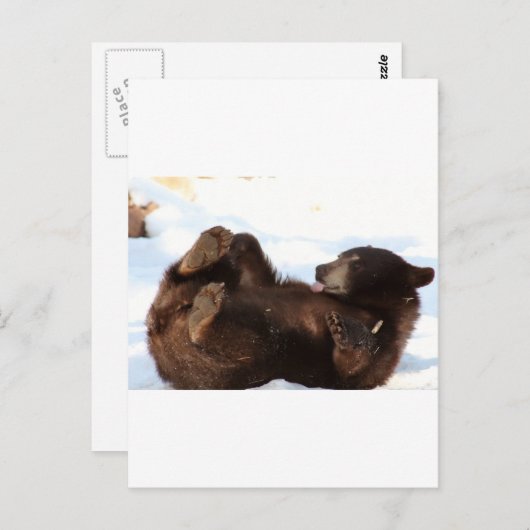 とってもクマさんな1日を！ ポストカード (正面/裏面)