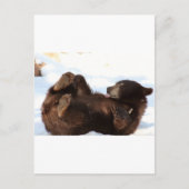 とってもクマさんな1日を！ ポストカード (正面)