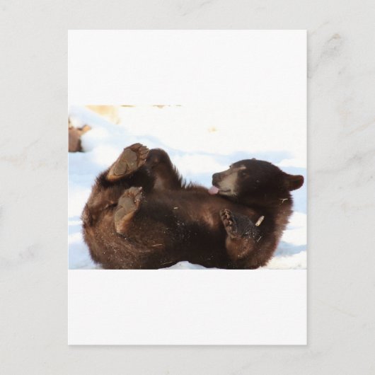 とってもクマさんな1日を！ ポストカード (正面)