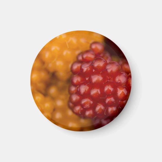 とってもベリー マグネット (正面)