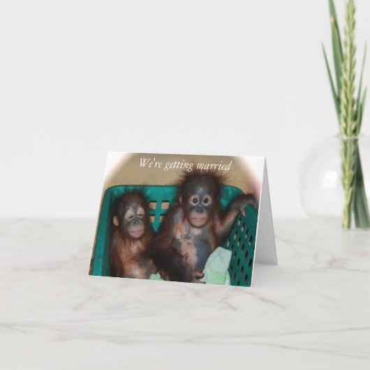 とってもロマンチックで遊び心あふれる結婚式のお知らせ 案内状 (正面)