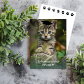 とっても自慢なの！　卒業キットン