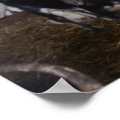 とてもかわいいヤギの写真。 ポスター (角)