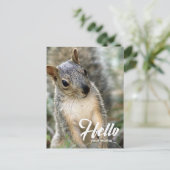 とてもかわいいリスのこんにちははがき ポストカード (スタンド正面)