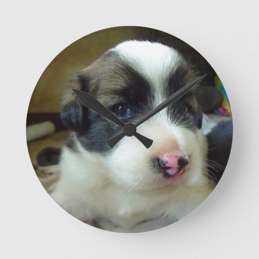 とてもかわいい仔犬 ラウンド壁時計 (正面)