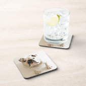 とても可愛いブルドッグ コースター (右側)