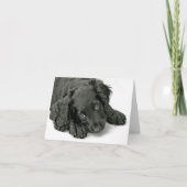 とても可愛い子犬 カード (正面)