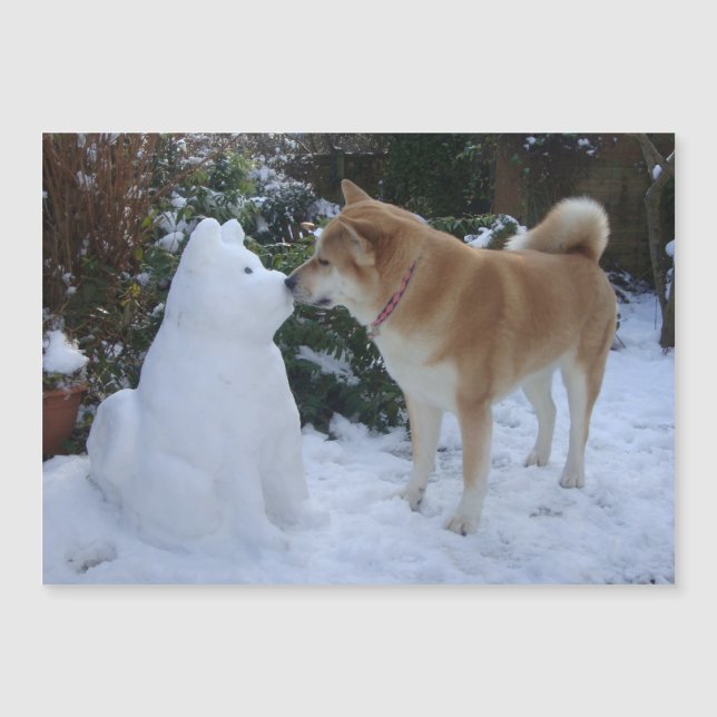 とても可愛い秋田キスをする雪だるま秋田犬 (正面)