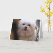 とても小さい人 カード (黄色い花)