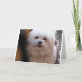 とても小さい人 カード (正面)