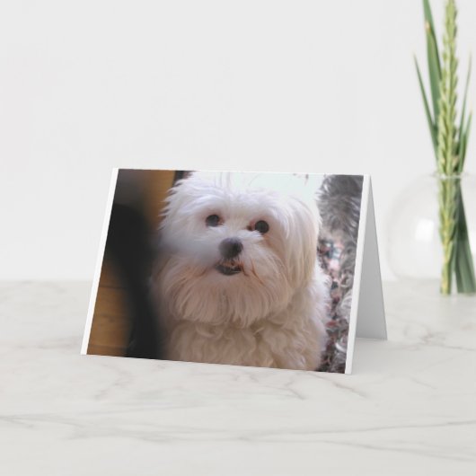 とても小さい人 カード (正面)