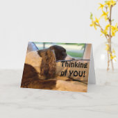 とても幸せでお祝いを言いたい カード (黄色い花)