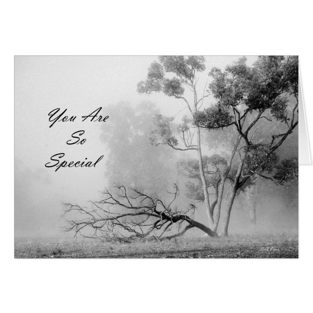 とても特別です (正面横)