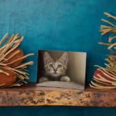 とても甘い虎猫の子猫 フォトプラーク (側面)