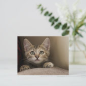 とても甘い虎猫の子猫 ポストカード (スタンド正面)