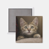 とても甘い虎猫の子猫 マグネット (正面/裏面)