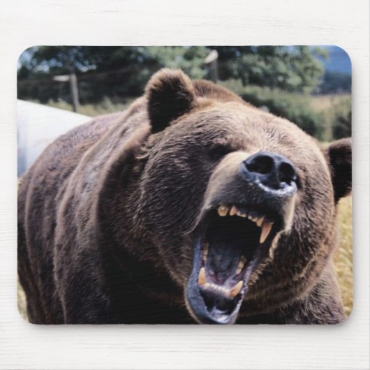 とどろくテディー・ベア マウスパッド (正面)