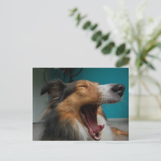 とどろく犬 ポストカード (スタンド正面)