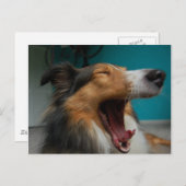 とどろく犬 ポストカード (正面/裏面)