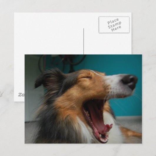 とどろく犬 ポストカード (正面/裏面)