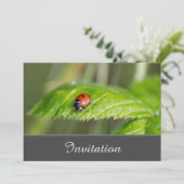 とびきりの招待状 ラディッシュ付き 招待状 (スタンド正面)